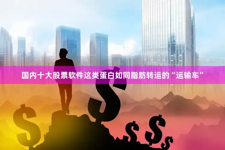 国内十大股票软件这类蛋白如同脂肪转运的“运输车”