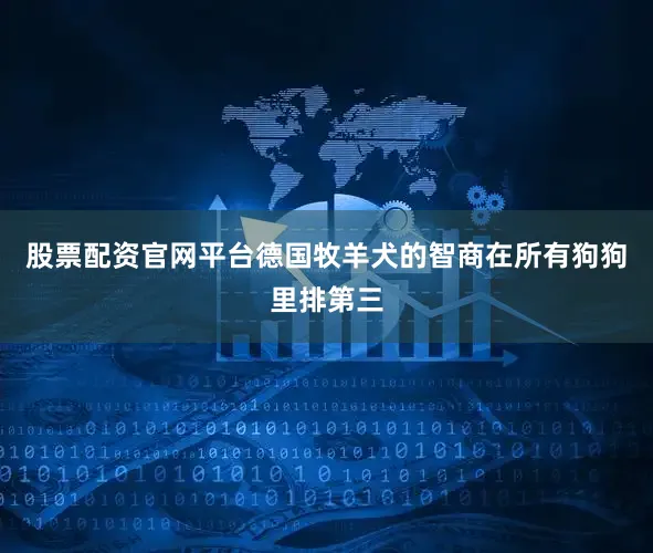 股票配资官网平台德国牧羊犬的智商在所有狗狗里排第三