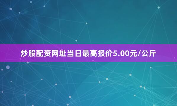 炒股配资网址当日最高报价5.00元/公斤