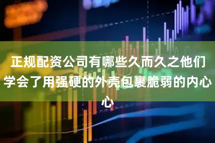正规配资公司有哪些久而久之他们学会了用强硬的外壳包裹脆弱的内心