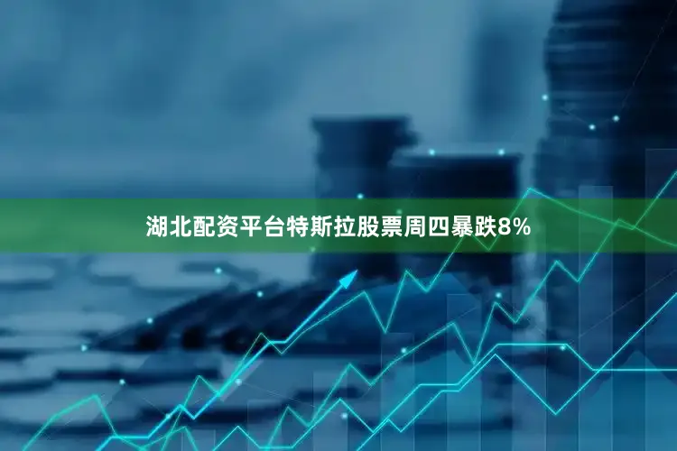 湖北配资平台特斯拉股票周四暴跌8%