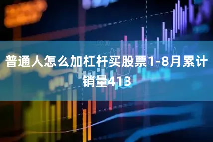 普通人怎么加杠杆买股票1-8月累计销量413