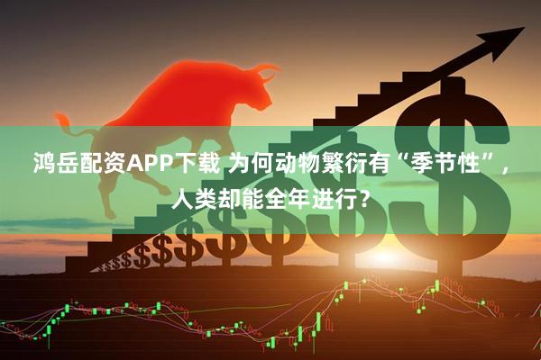 鸿岳配资APP下载 为何动物繁衍有“季节性”，人类却能全年进行？