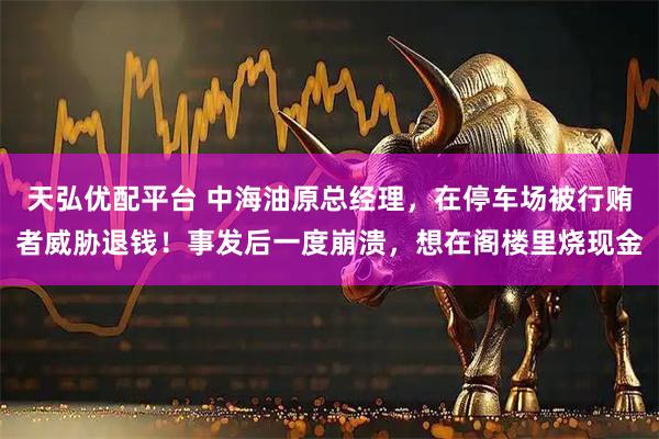 天弘优配平台 中海油原总经理，在停车场被行贿者威胁退钱！事发后一度崩溃，想在阁楼里烧现金